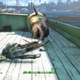 Illustration for article titled The Mystery of What Fallout 4 Hides Underwater